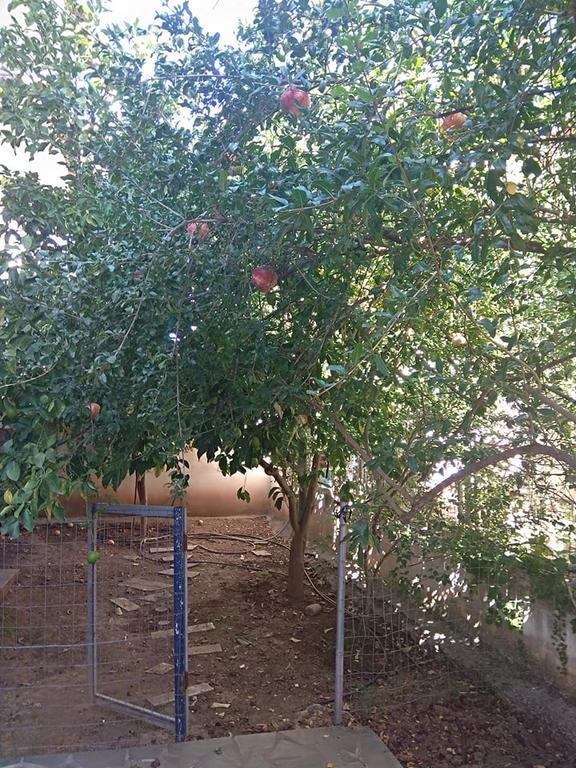 דירות נאפפליו Rodi House מראה חיצוני תמונה